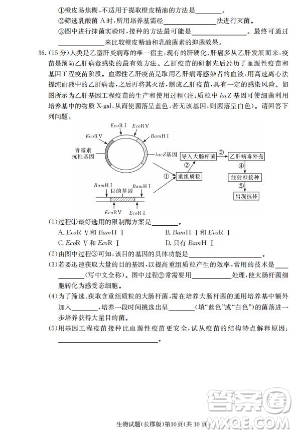 湖南省長郡中學(xué)2019屆高三12月月考生物試題及答案