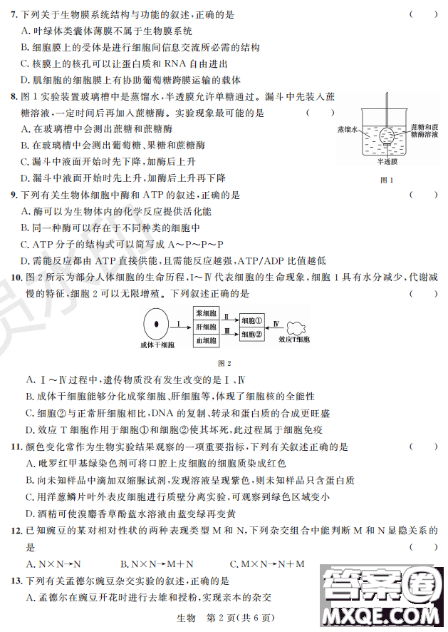 2019屆陜西省高三上學(xué)期四校聯(lián)考試題生物試卷及答案解析