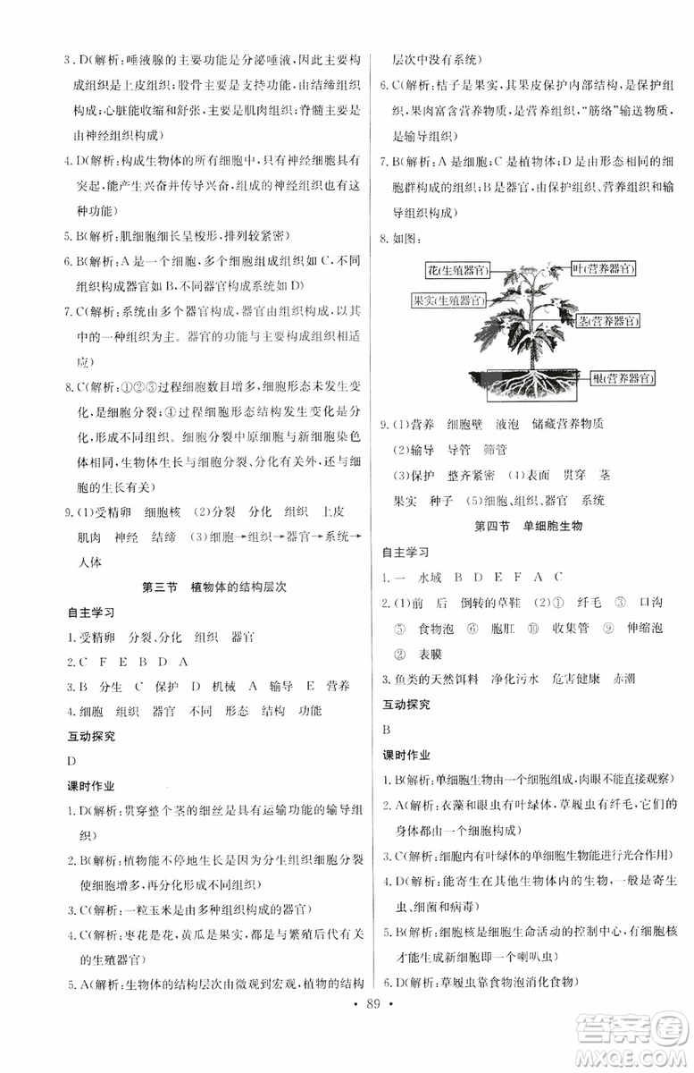 2018版長江全能學(xué)案初中生物七年級上冊人教版同步練習(xí)冊9787540327729參考答案