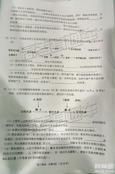 2019南充一診理綜試題及參考答案