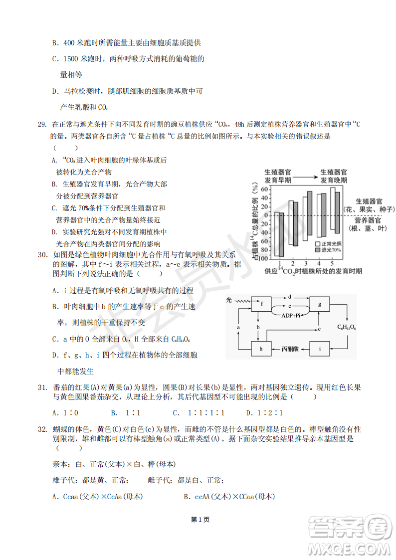 2019屆福建省永安一中德化一中漳平一中高三上學(xué)期12月三校聯(lián)考生物試卷及答案