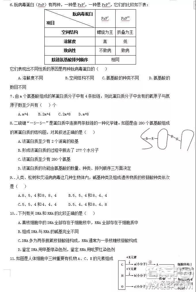 哈六中2021屆高一上學(xué)期12月月考生物試卷及答案