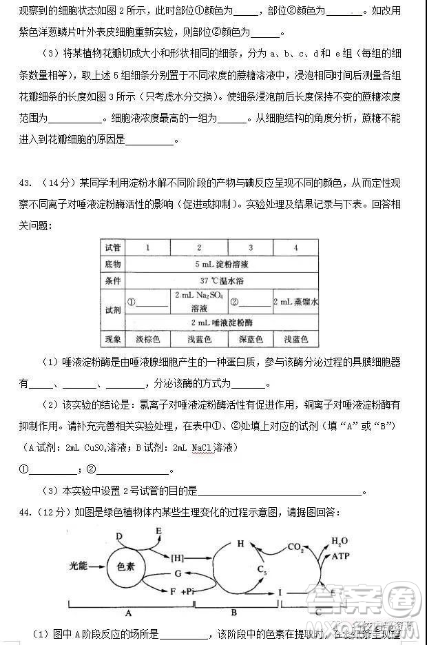 哈六中2021屆高一上學(xué)期12月月考生物試卷及答案