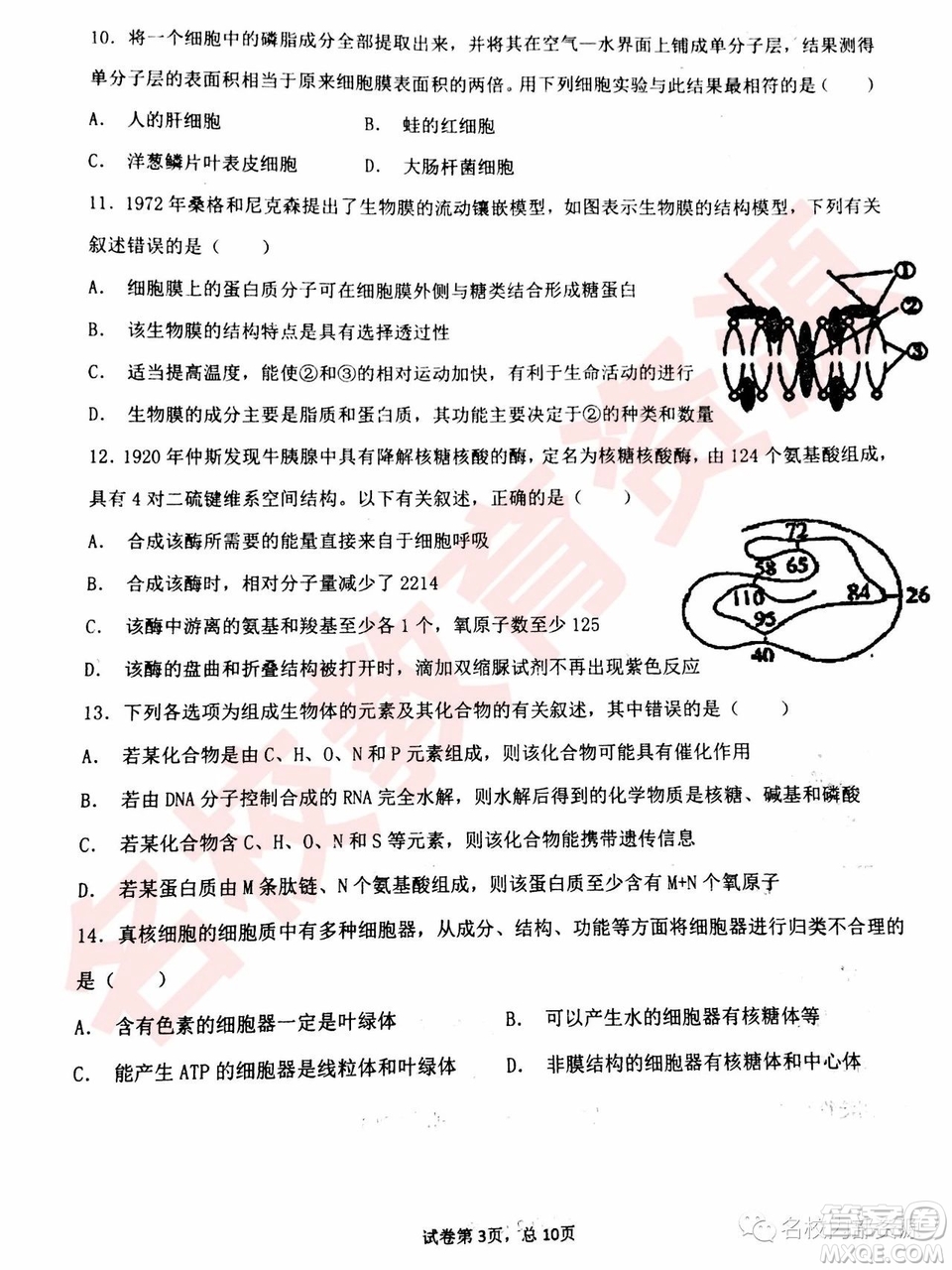 哈三中2018—2019年高一上第二次驗收考試生物試卷及答案