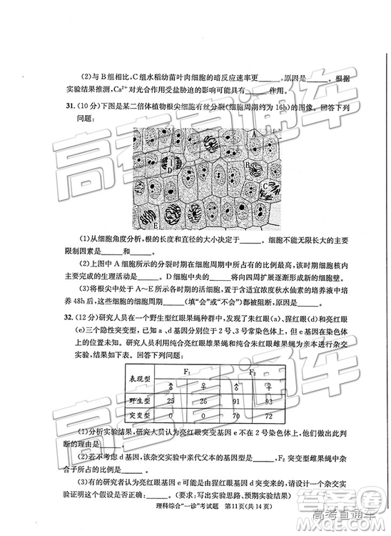 2019成都一診理綜試題及參考答案