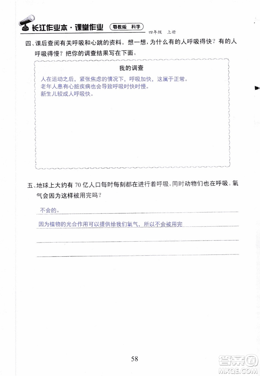 9787535182647長江作業(yè)本同步練習(xí)冊四年級上冊科學(xué)鄂教版參考答案