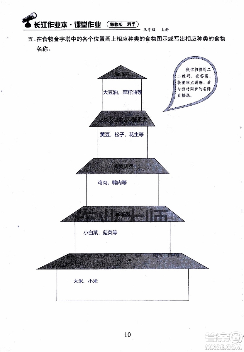 2018年長江作業(yè)本課堂作業(yè)科學(xué)三年級上冊鄂教版參考答案