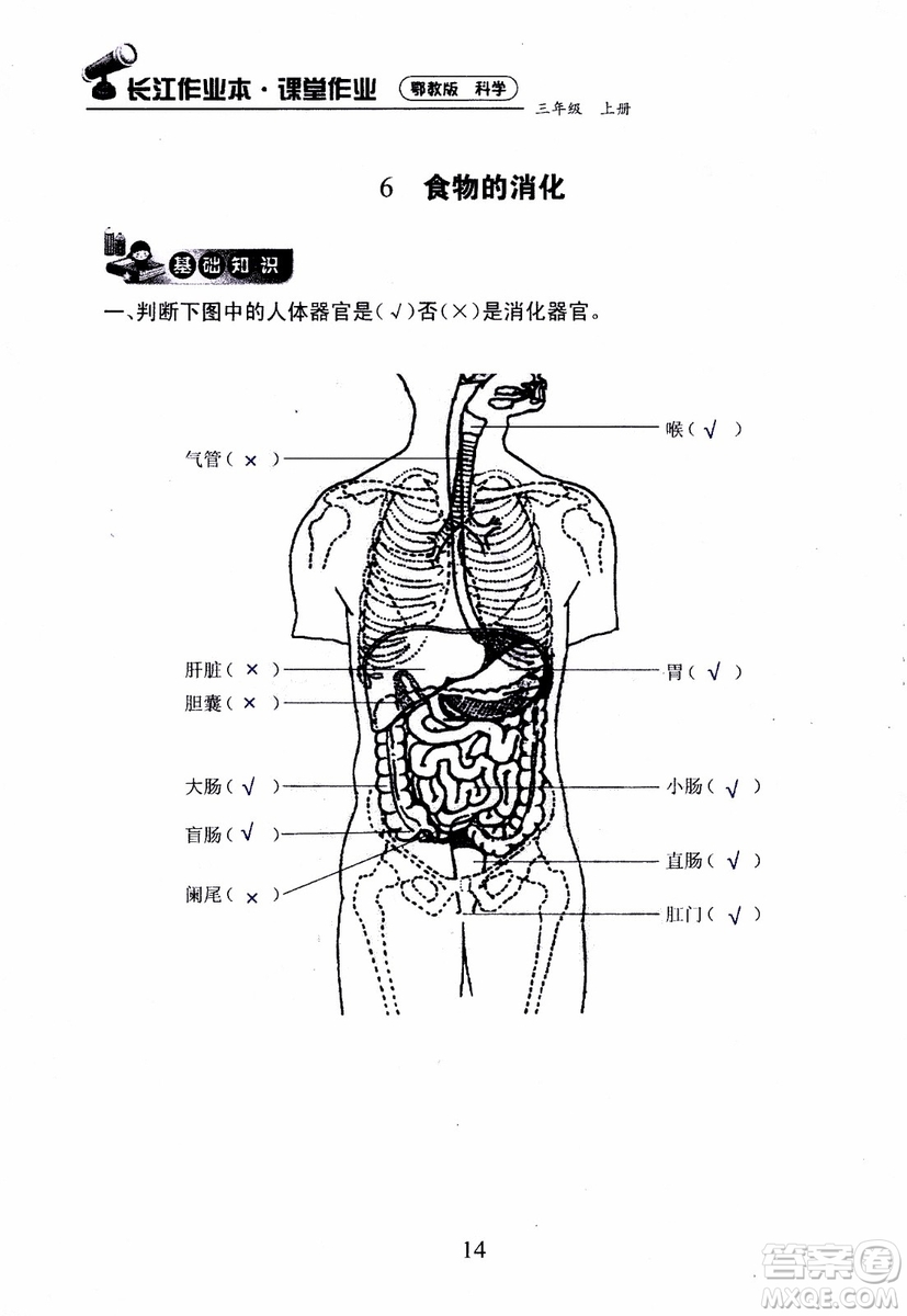 2018年長江作業(yè)本課堂作業(yè)科學(xué)三年級上冊鄂教版參考答案