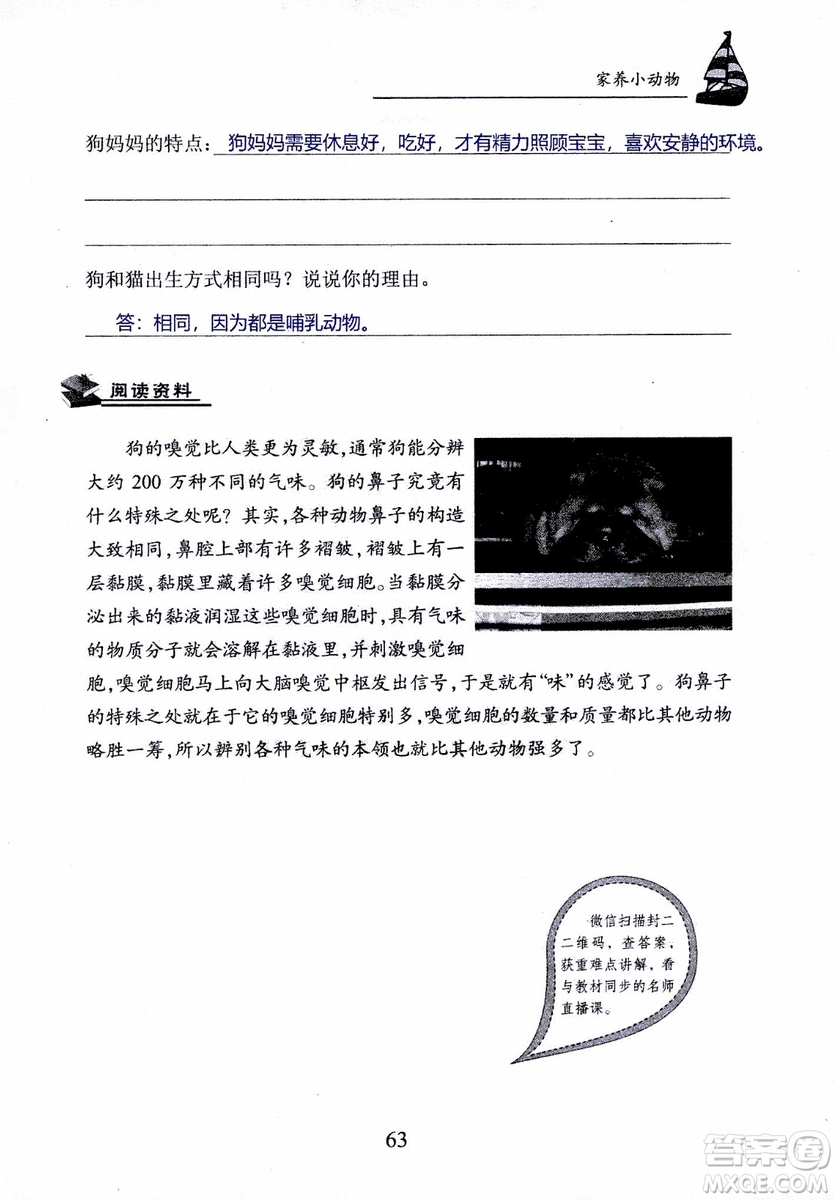 2018年長江作業(yè)本課堂作業(yè)科學(xué)三年級上冊鄂教版參考答案