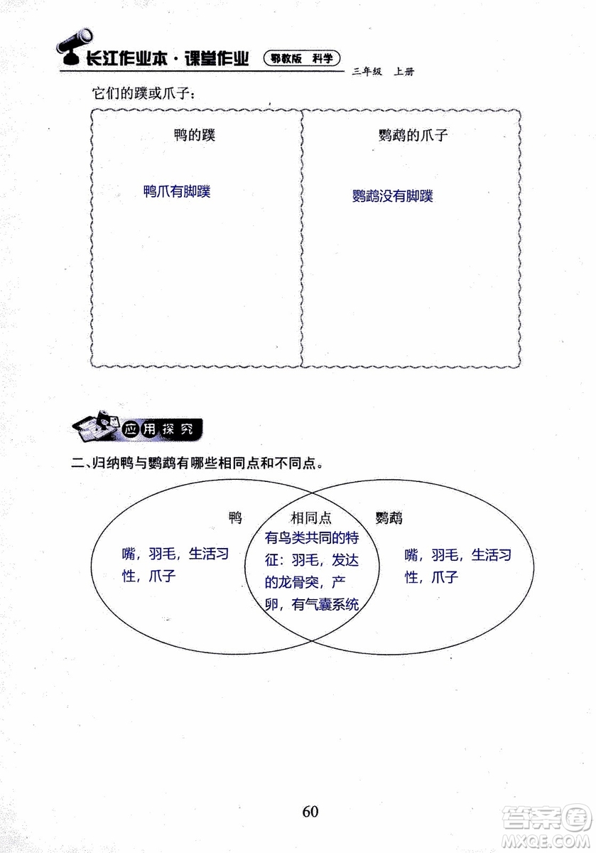 2018年長江作業(yè)本課堂作業(yè)科學(xué)三年級上冊鄂教版參考答案