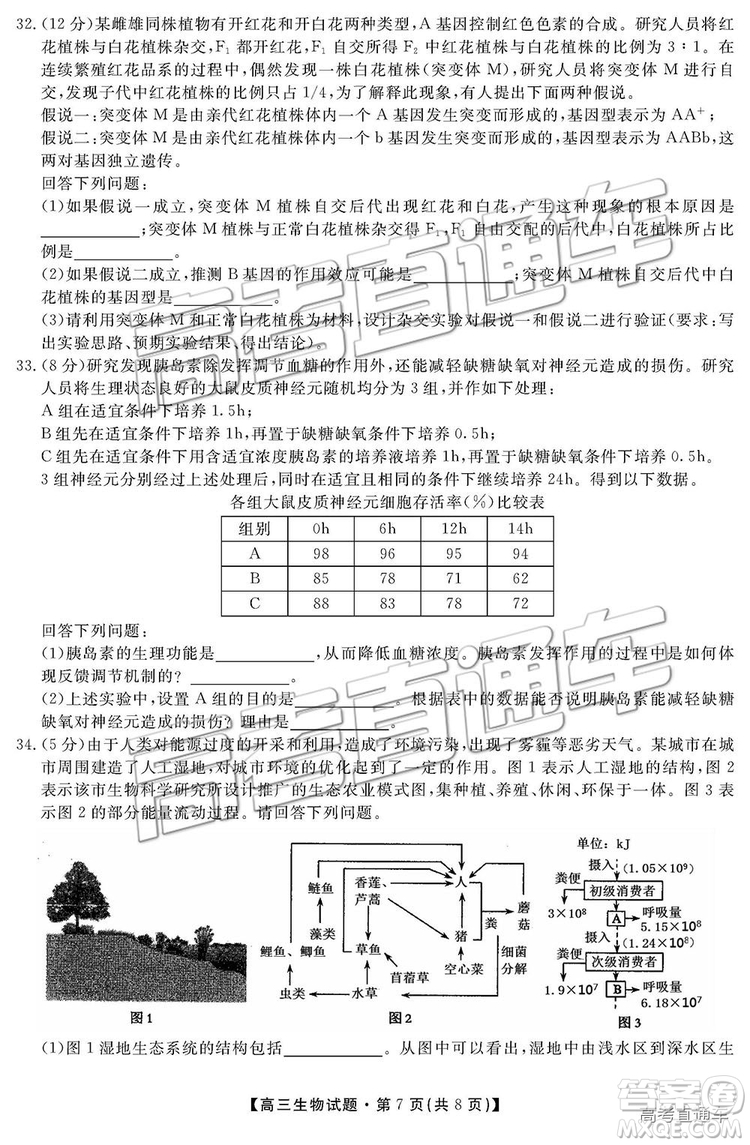 2019湖南省三湘名校教育聯(lián)盟高三第二次大聯(lián)考理綜試題及參考答案