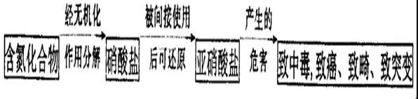 湖北省武漢市部分市級(jí)示范2019屆高三12月聯(lián)考語(yǔ)文試卷及答案