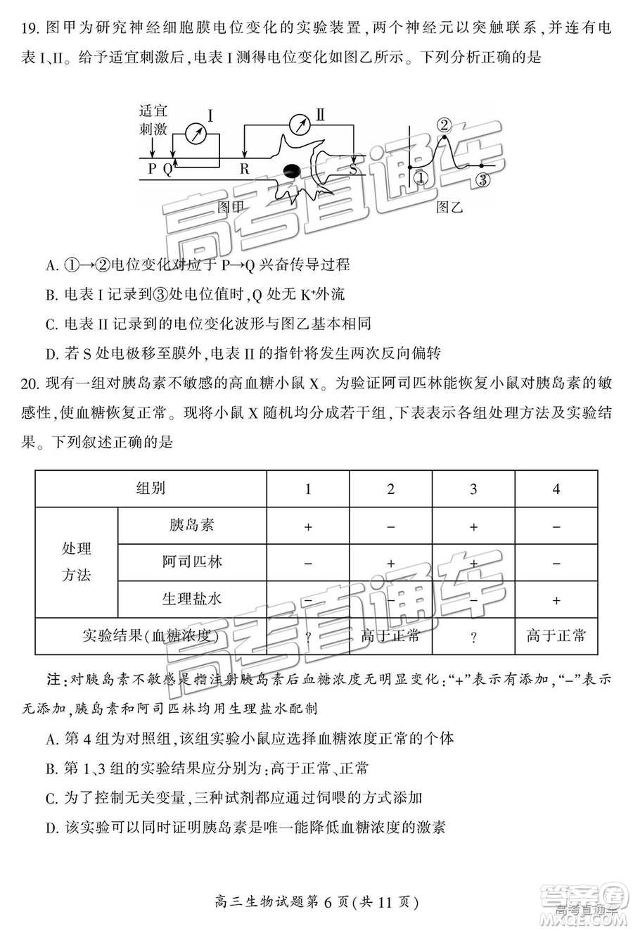 2019屆湖南省郴州市高三第一次質(zhì)量檢測理綜試題及參考答案