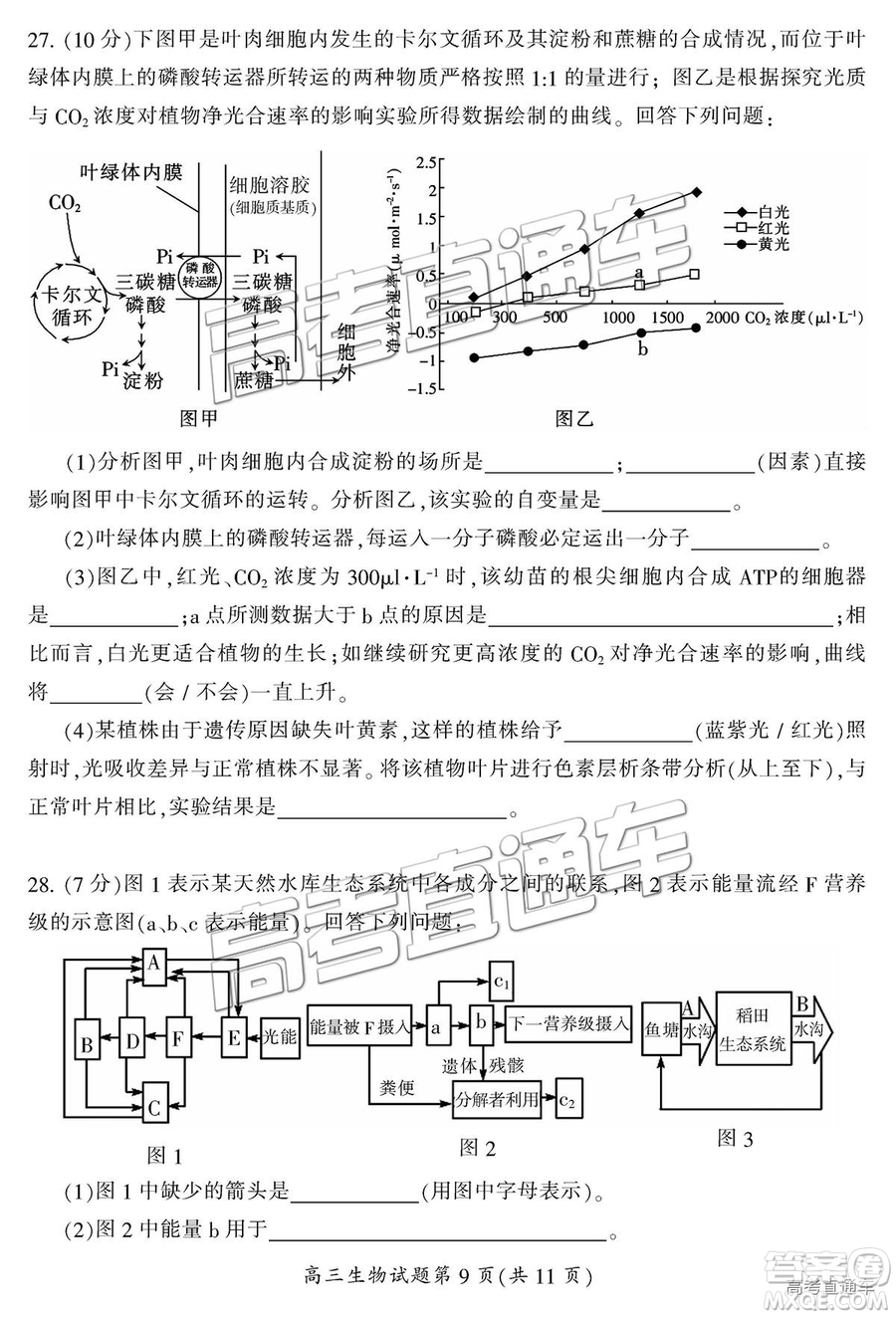 2019屆湖南省郴州市高三第一次質(zhì)量檢測理綜試題及參考答案