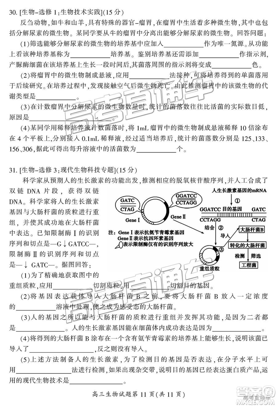 2019屆湖南省郴州市高三第一次質(zhì)量檢測理綜試題及參考答案