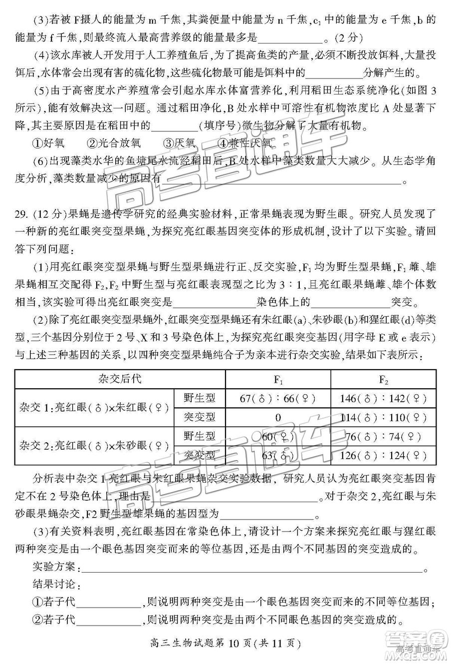 2019屆湖南省郴州市高三第一次質(zhì)量檢測理綜試題及參考答案