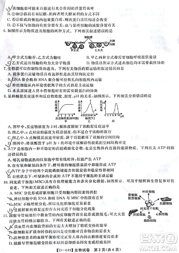 2019屆安徽江淮名校高三12月聯(lián)考生物試卷及答案