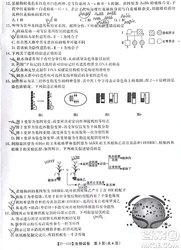 2019屆安徽江淮名校高三12月聯(lián)考生物試卷及答案