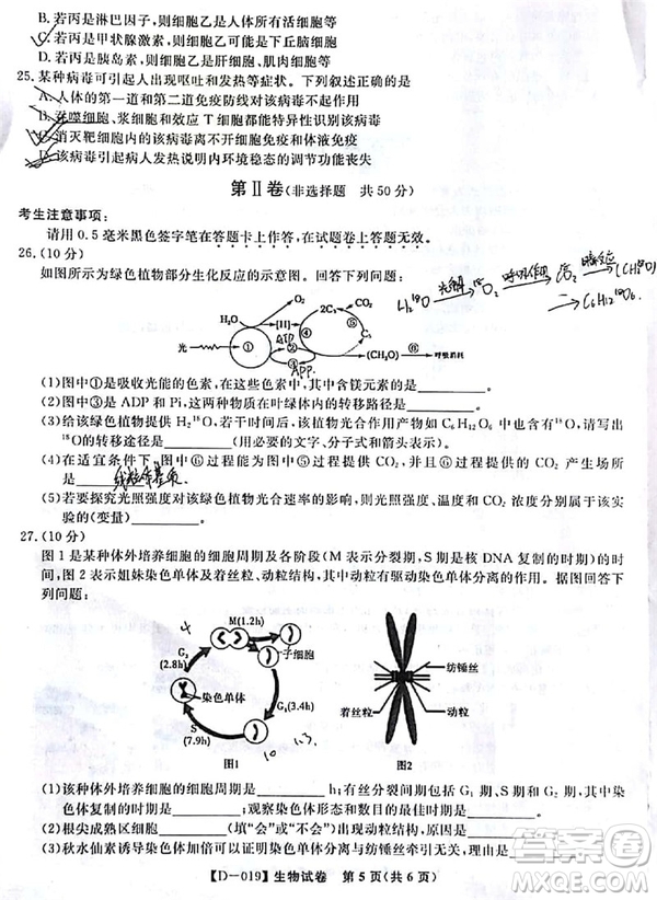 2019屆安徽江淮名校高三12月聯(lián)考生物試卷及答案