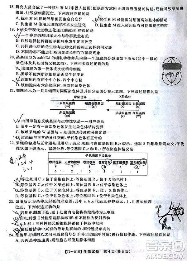 2019屆安徽江淮名校高三12月聯(lián)考生物試卷及答案