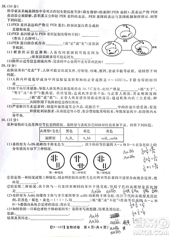 2019屆安徽江淮名校高三12月聯(lián)考生物試卷及答案