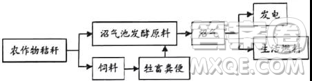 山東省實驗中學2019屆高三12月模擬語文試題及答案