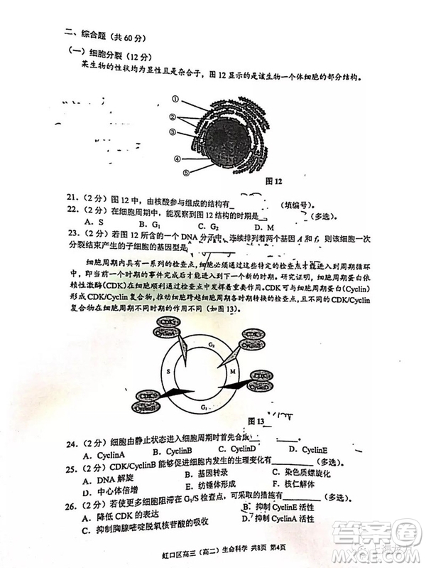 2019屆上海虹口高三一模生命科學(xué)試卷答案