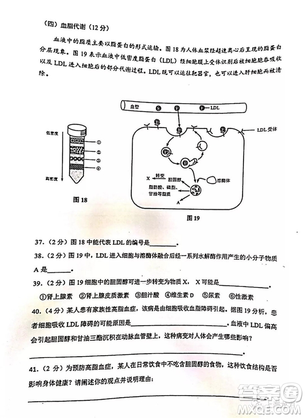 2019屆上海虹口高三一模生命科學(xué)試卷答案