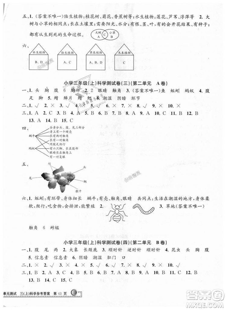 9787517809159孟建平2018年教科版小學(xué)單元測試卷三年級上科學(xué)答案