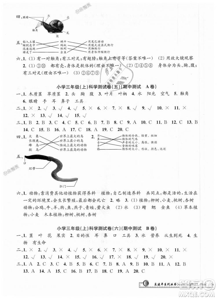 9787517809159孟建平2018年教科版小學(xué)單元測試卷三年級上科學(xué)答案