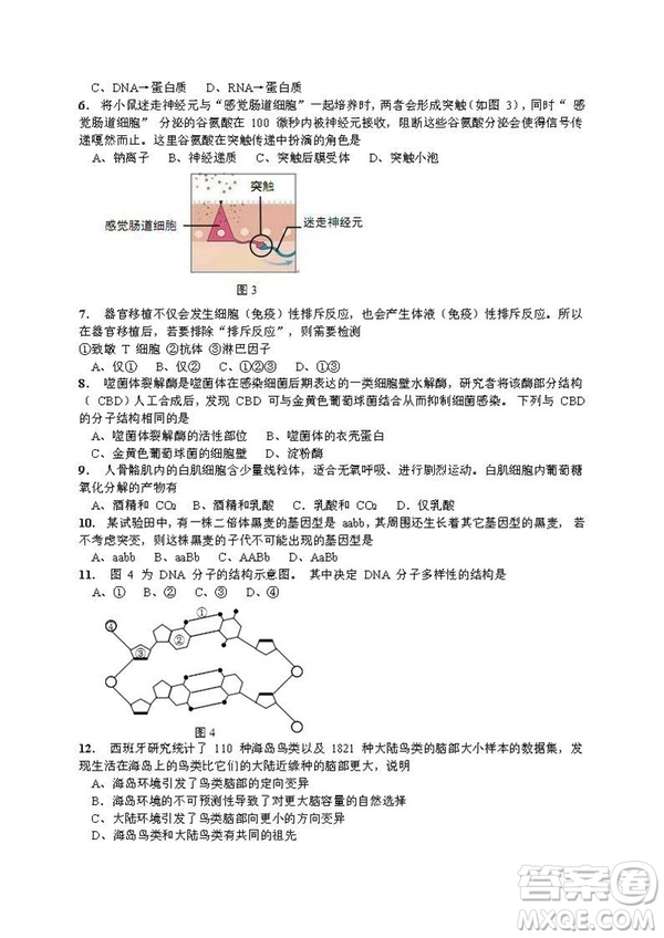 2019屆上海崇明高三生物一模試卷答案