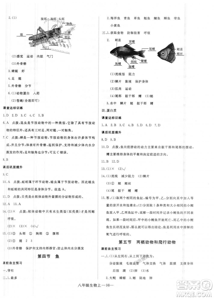 9787543083738優(yōu)翼叢書2018秋學(xué)練優(yōu)8年級上冊RJ人教版答案