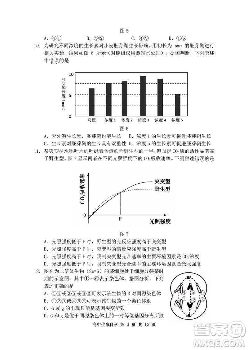 2019屆上海金山高三一模生物試卷答案