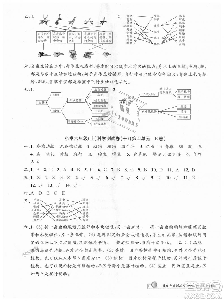 孟建平系列叢書2018年教科版小學(xué)單元測(cè)試卷六年級(jí)上科學(xué)9787517809302答案