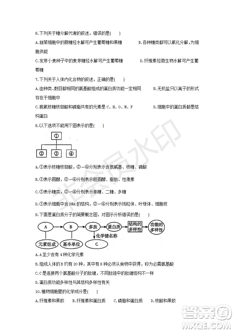 2018-2019學(xué)年四川省棠湖中學(xué)高一上學(xué)期第三次月考生物試題及答案