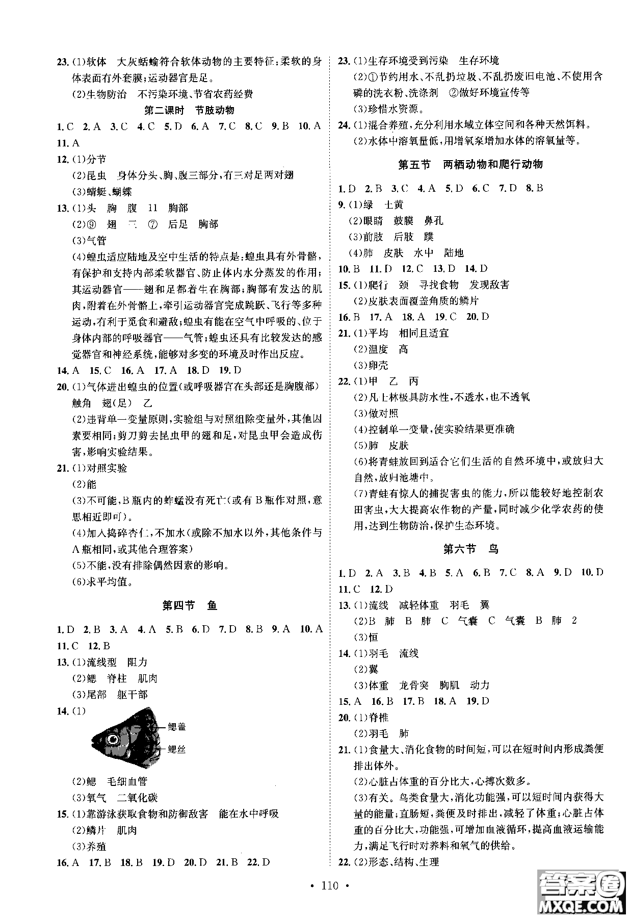 2019新版思路教練同步課時作業(yè)生物八年級上冊人教RJ版參考答案