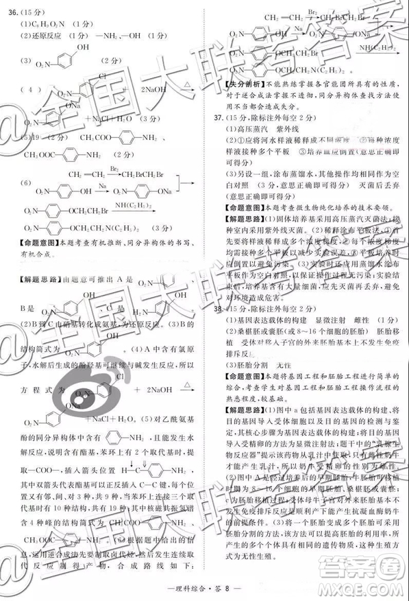 超級全能生2019高考全國卷26省12月聯(lián)考甲乙卷理綜參考答案