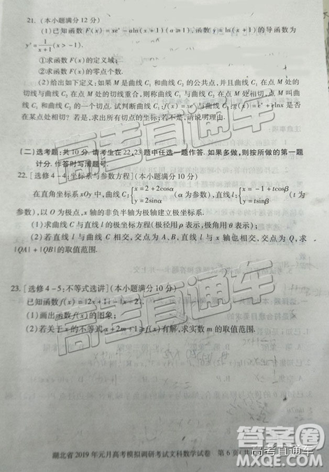 湖北省2019年元月高考模擬調(diào)研考試文數(shù)試卷及答案解析