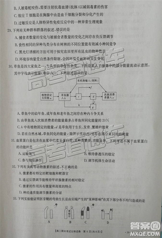 2019遼陽高三期末考試?yán)砭C試卷及答案解析