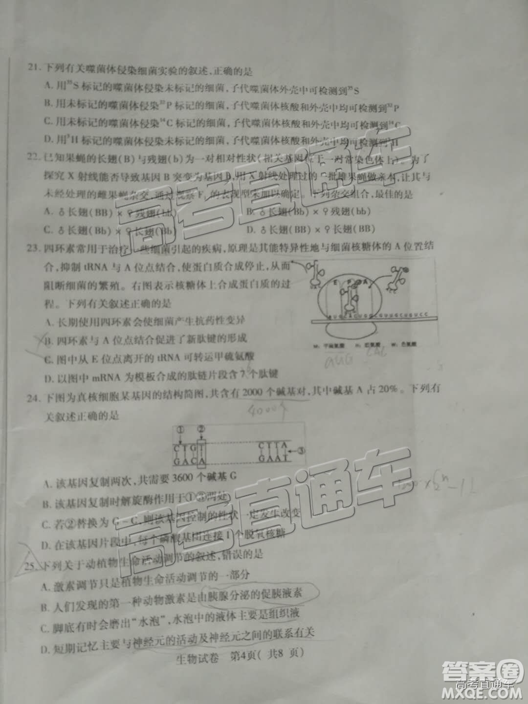 泉州市2019屆普通高中畢業(yè)班單科質量檢查生物試卷及答案解析