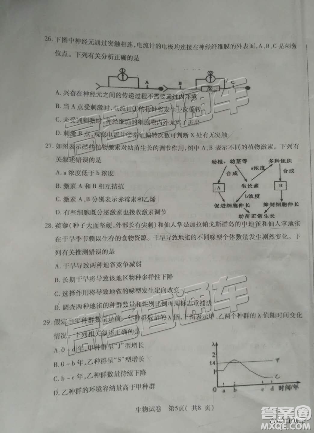 泉州市2019屆普通高中畢業(yè)班單科質量檢查生物試卷及答案解析