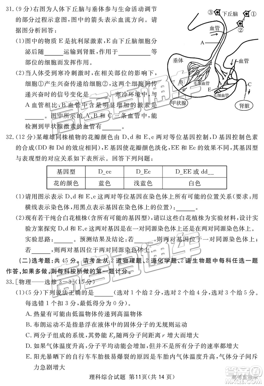 2019四川省眉山、遂寧、廣安、內江四市聯(lián)考理綜試題及參考答案