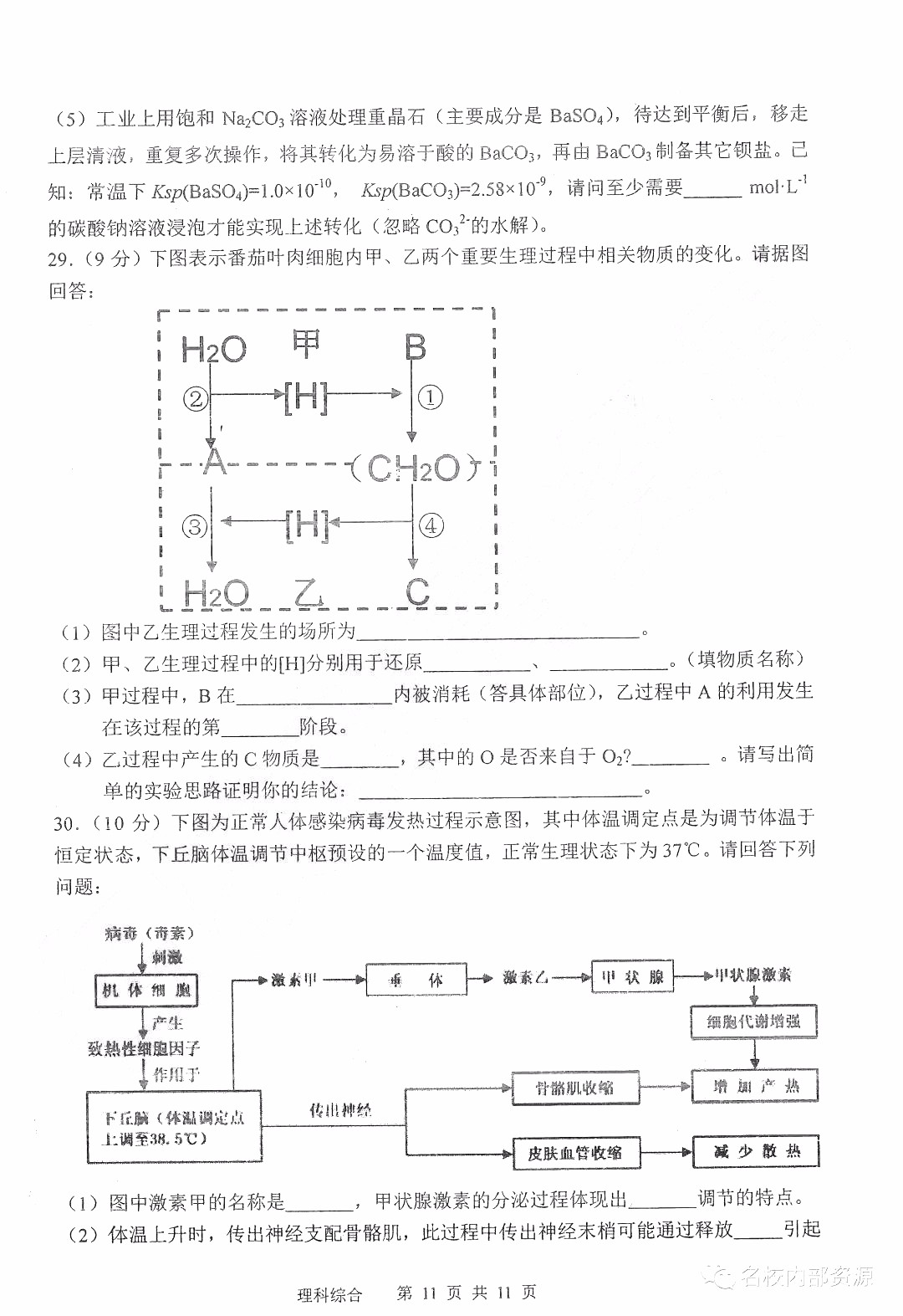 哈三中2018-2019學(xué)年度高三上期末測(cè)試?yán)砭C試卷及答案