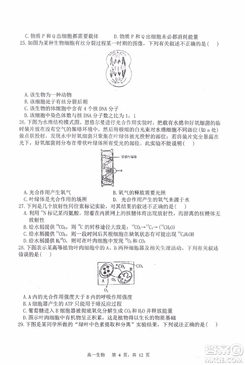 哈三中2018-2019學年度高一上期末測試生物試卷及答案