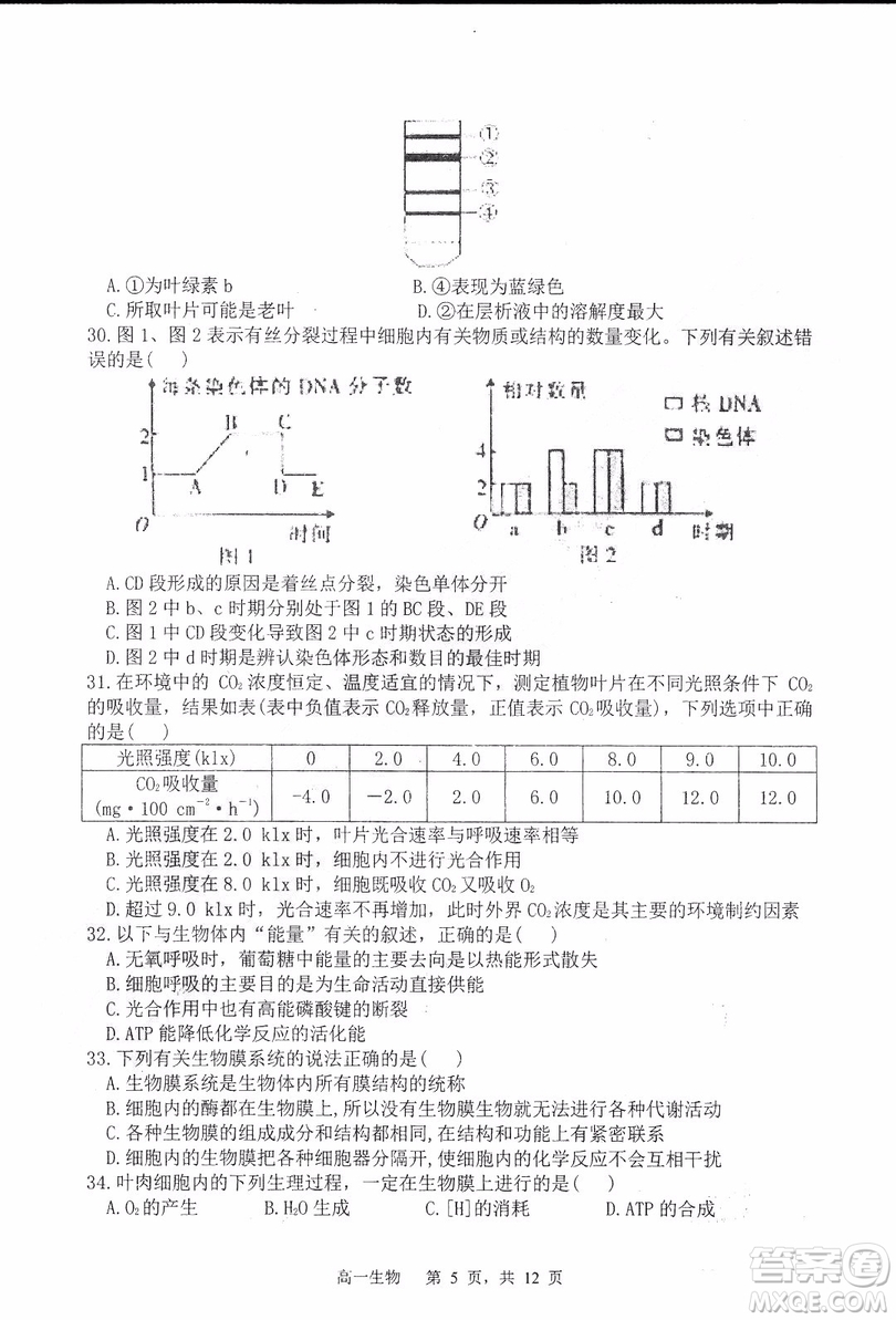 哈三中2018-2019學年度高一上期末測試生物試卷及答案