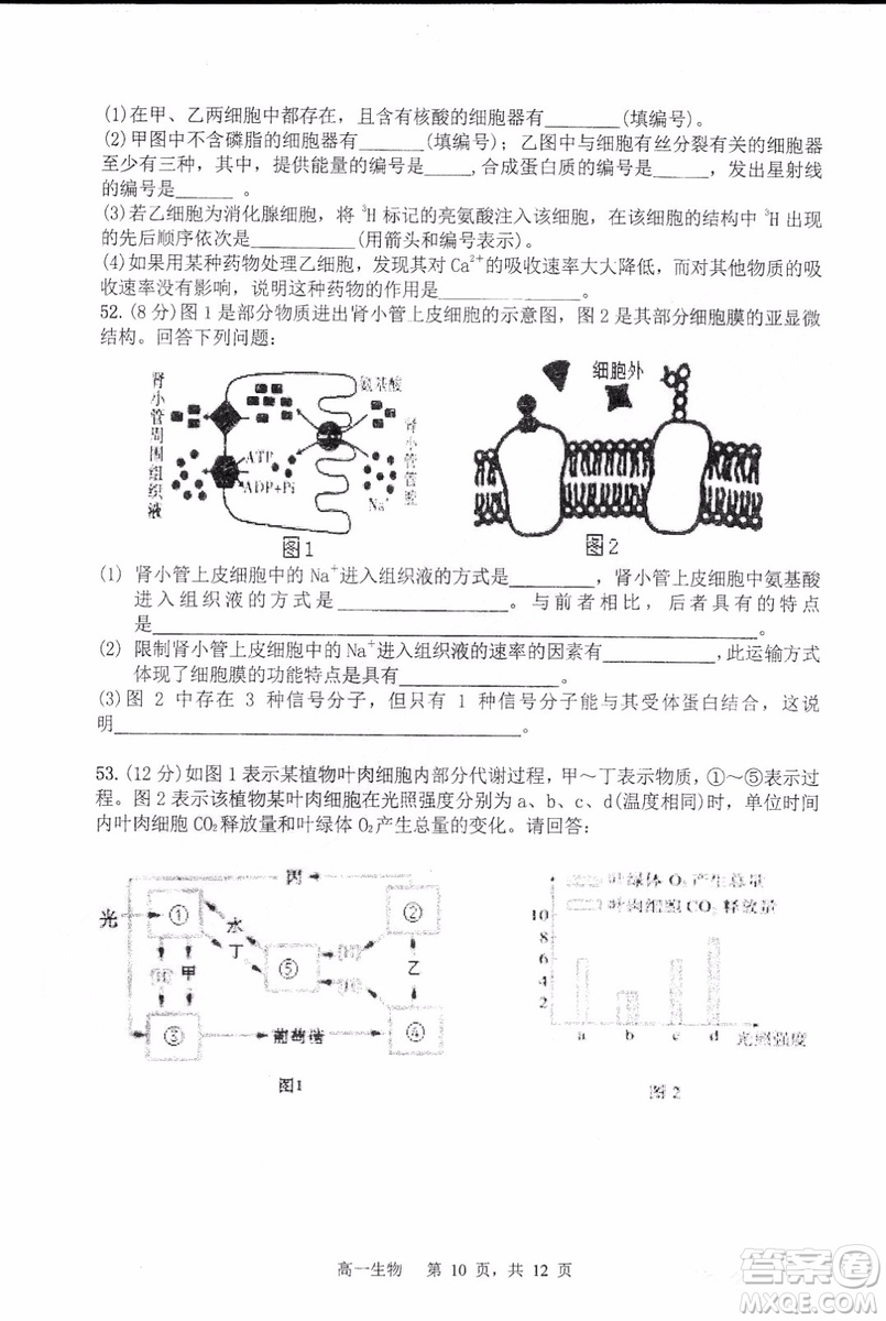 哈三中2018-2019學年度高一上期末測試生物試卷及答案