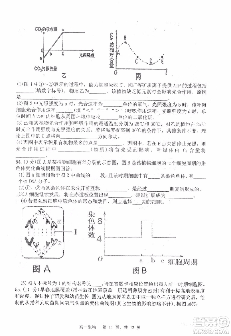 哈三中2018-2019學年度高一上期末測試生物試卷及答案