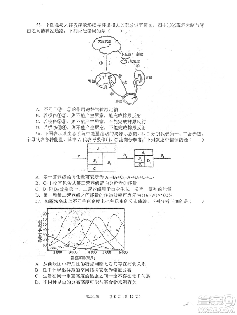 哈三中2018-2019學(xué)年度高二上期末測試生物試卷及答案答案