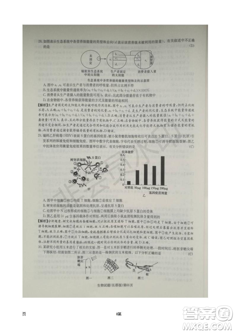 湖南長(zhǎng)郡中學(xué)2019屆高三月考試卷五生物試題及答案解析