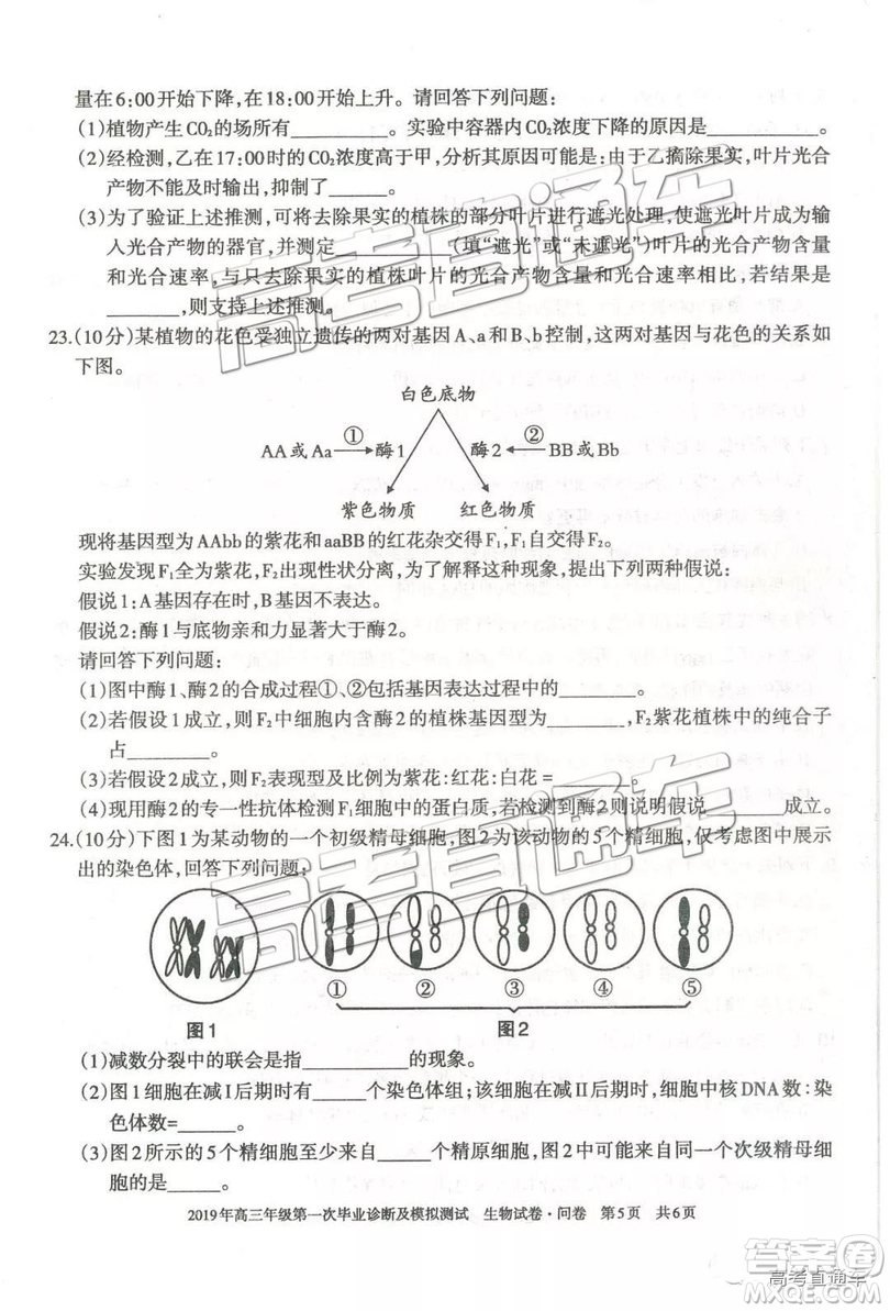 2019屆高三新疆烏魯木齊一診理綜試題及參考答案